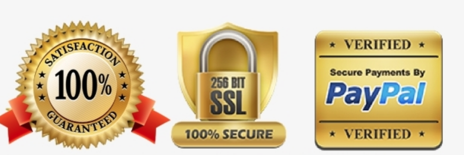 Paiement 100% sécurisé - Garantie satisfaction, SSL 256 bits, PayPal vérifié